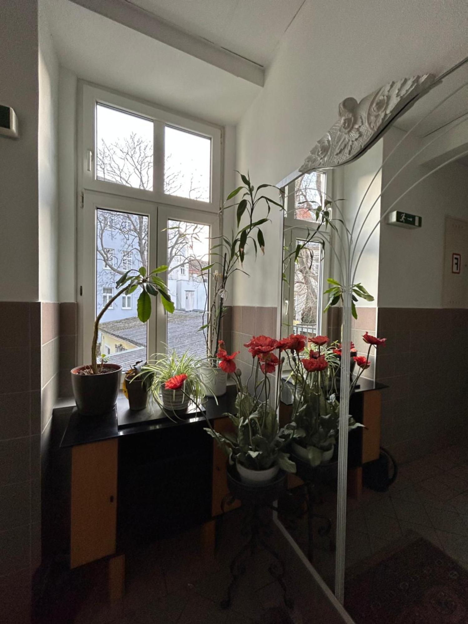 Reiner Apartment Wien Ngoại thất bức ảnh